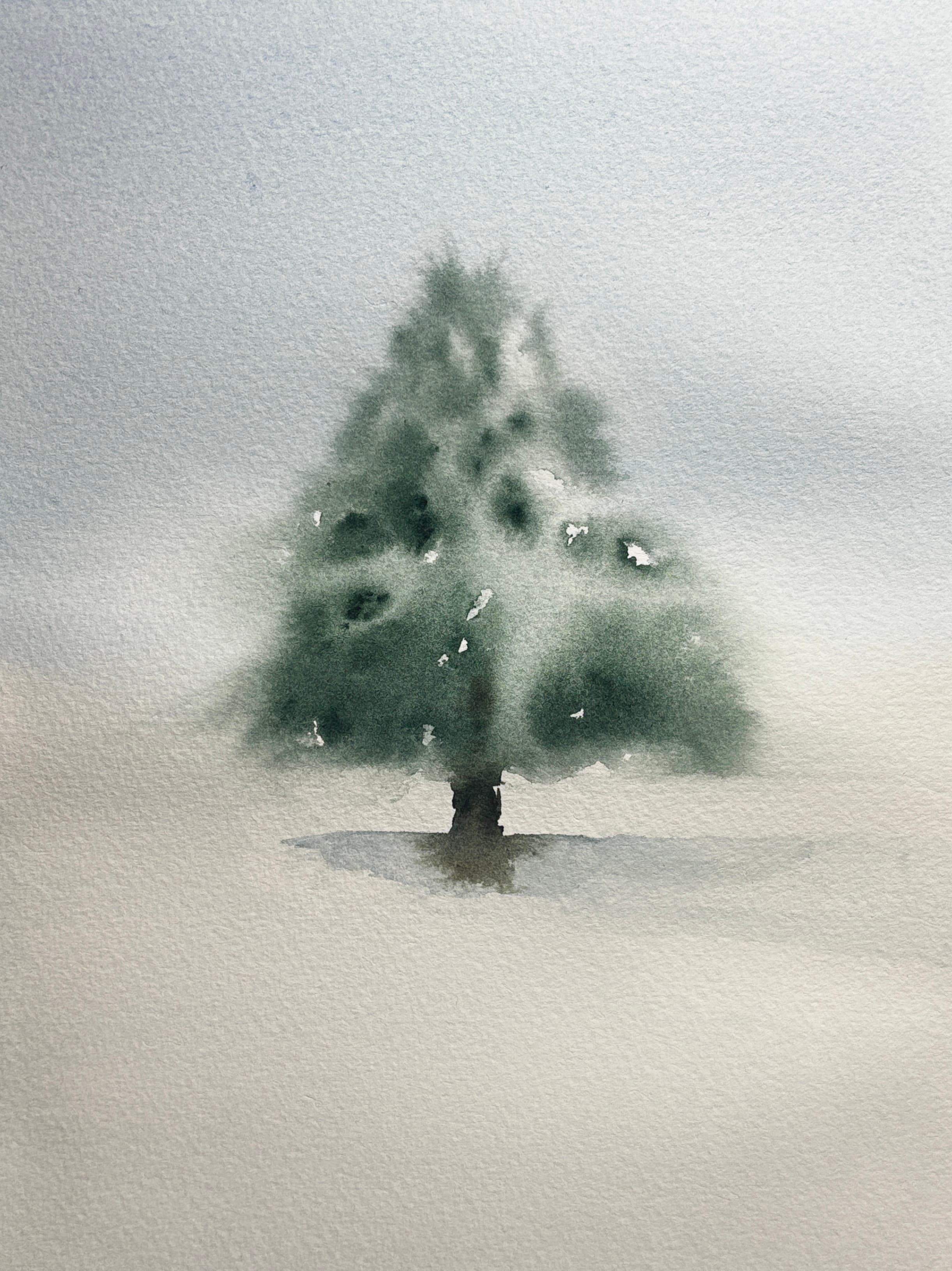 A snow-covered tree